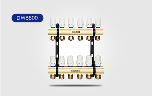 DW5800